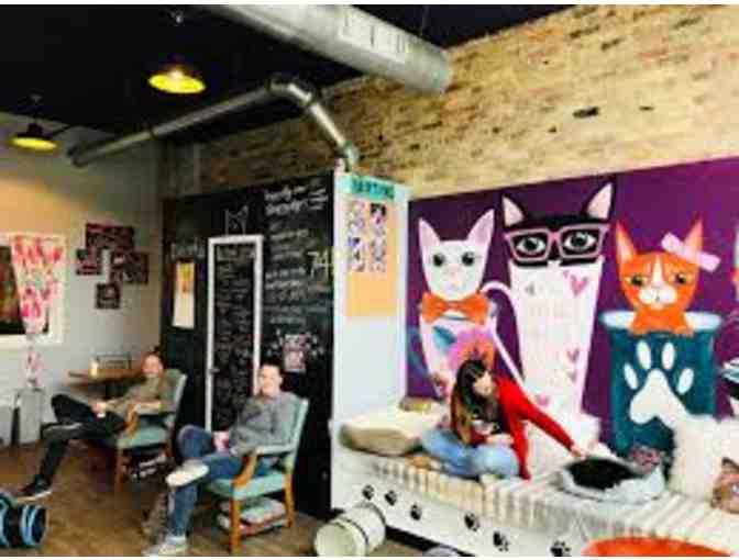 4 Passes to Happy Cat Cafe