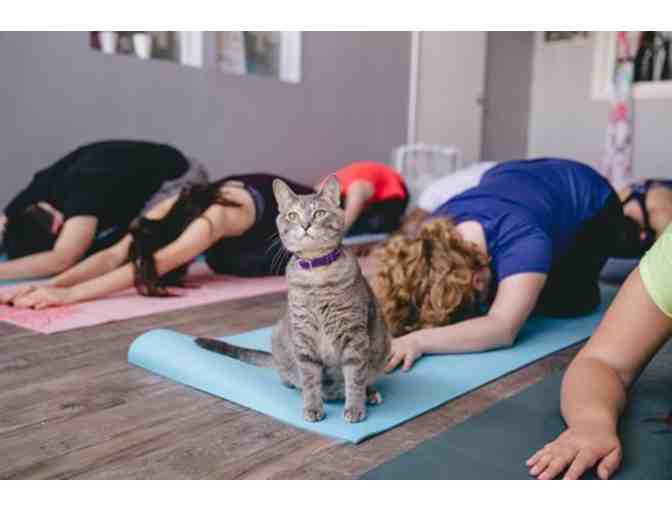 Certificate for 2 Cats & Yoga at Happy Cat Cafe - Photo 2