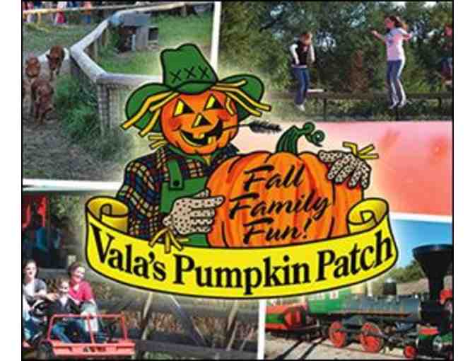 Two General Admission Tickets to Vala's Pumpkin Patch - Photo 1