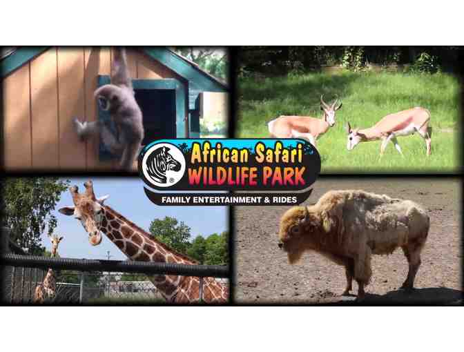 VIP Pass to African Safari Wildlife Park