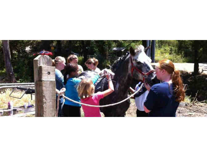 1-Week of Camp at Sun Valley Horse Camp