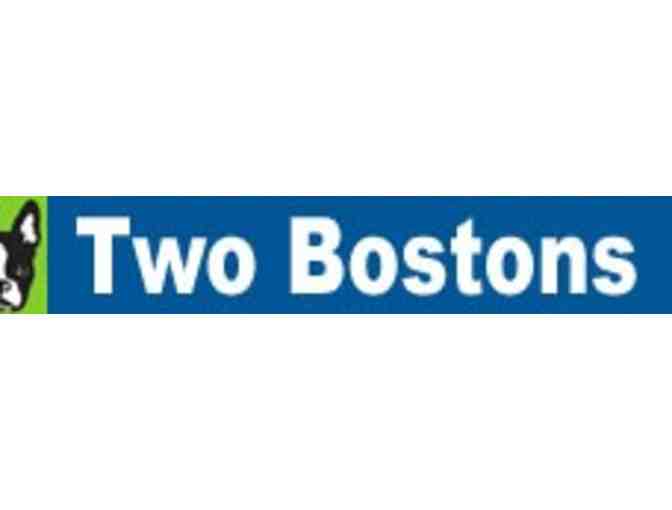 Pet Party @ Two Bostons!