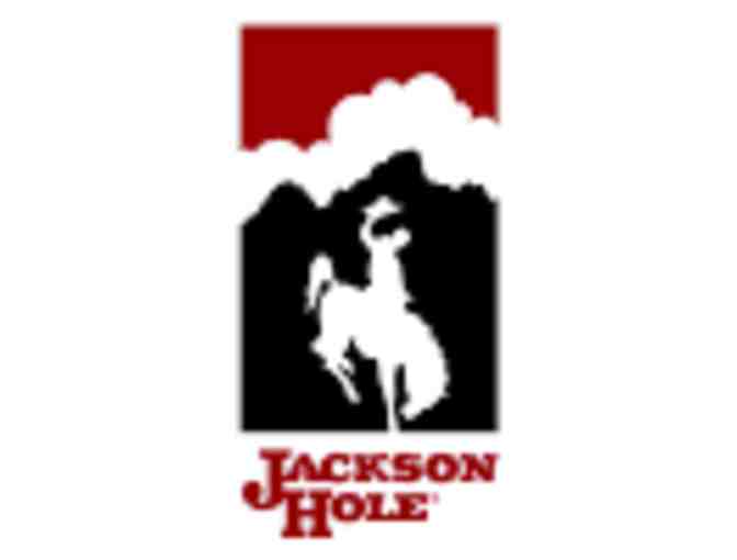 Jackson Hole Mountain Resort Summer Adventure
