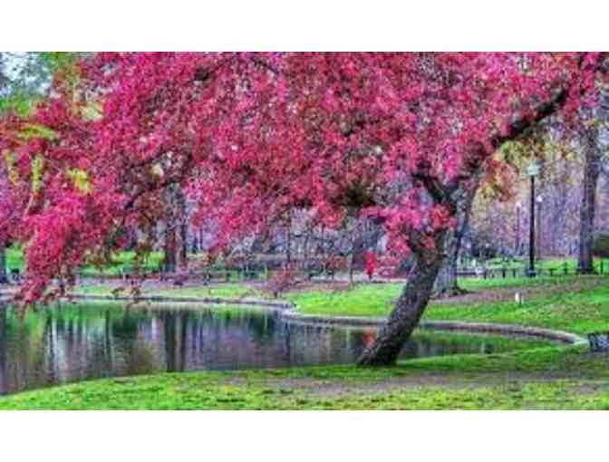 A Day Out for Mom and Dad - JQES Teacher Experience!