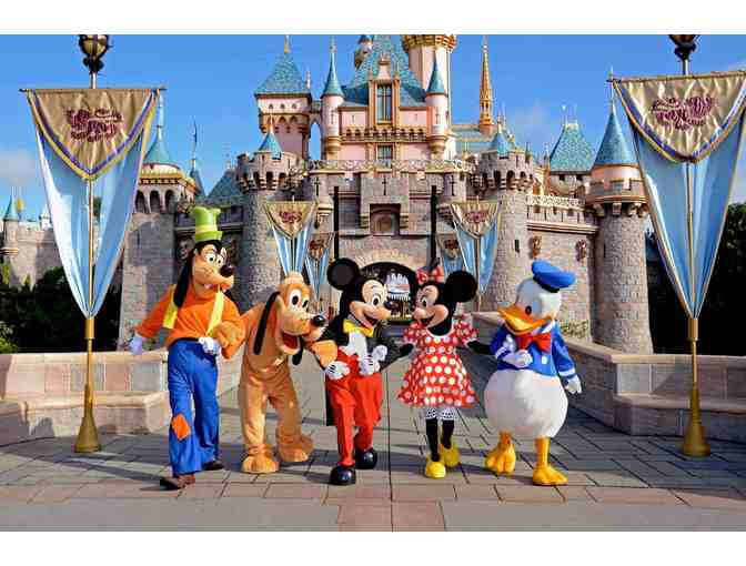 (4) One-Day Hopper Passes to Walt Disney World
