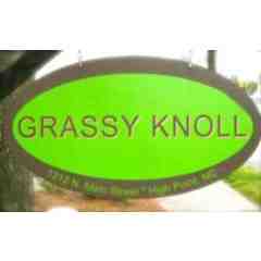 Grassy Knoll