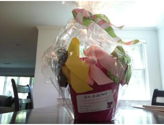 Spring & Summer Collection of Girls Hairbows