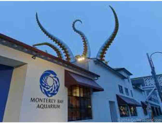 2 Passes to the Monterey Bay Aquarium