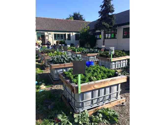 Give a Teacher Resource Books to Create A School Garden Science Program