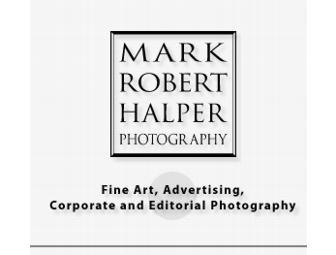 The Definitive Portrait of Your Children by Mark Robert Halper (Los Angeles, CA)