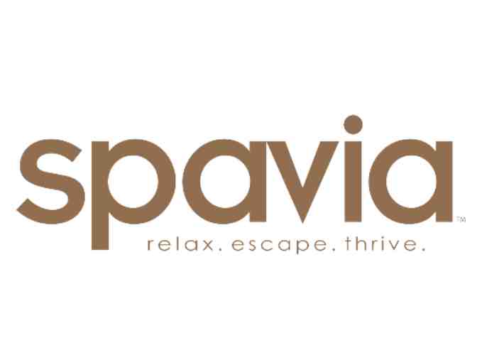 Spa package - 2, 1 hour massages & Spavia Day Spa