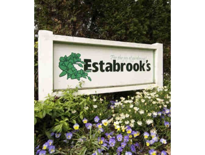 $50 Gift Certificate for Estabrook's Garden Center - Photo 1