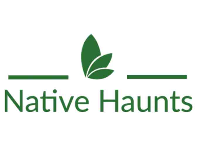 $50 Gift Certificate for Native Haunts - Photo 1