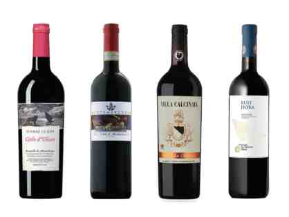 Fine Italian Wine Package/Tasting in your home