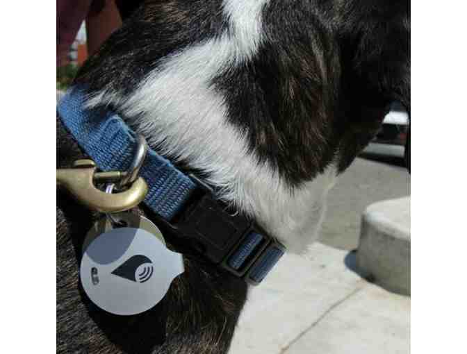 Lost It? Find It with the TrackR Bravo!