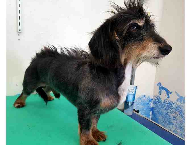 Shave Or A Haircut? You Bet!