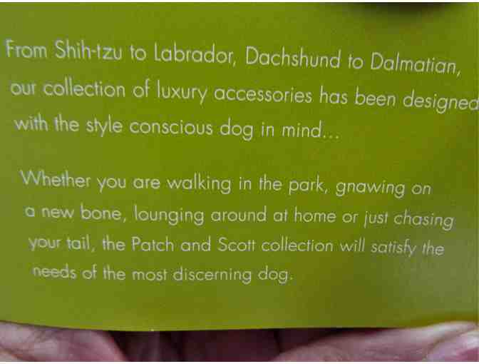 Patch & Scott Designer Leather Dog Leash