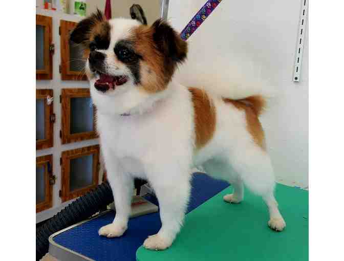 Shave Or A Haircut? You Bet!