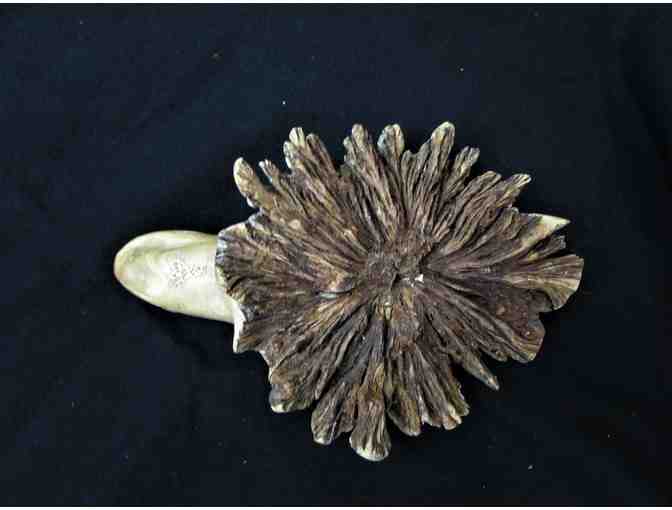 Hand-Carved Wooden Frog