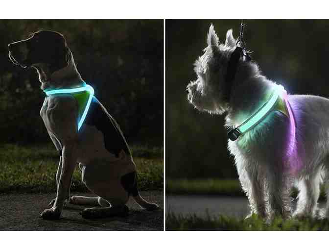 Noxgear Lighthound Dog Vest