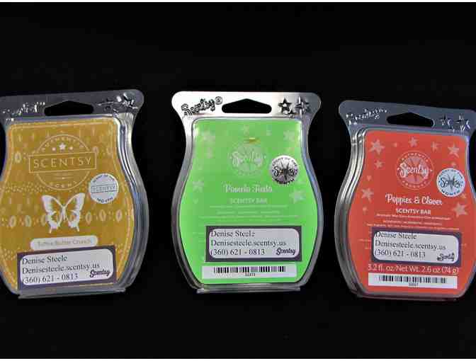 Scentsy Bars and Fruit Crater Scentsy Warmer