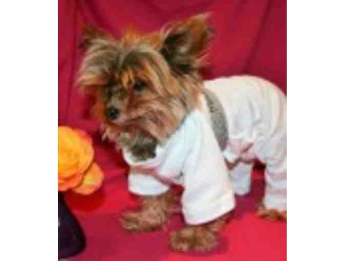 Mozzie Pants and Top for your Dog