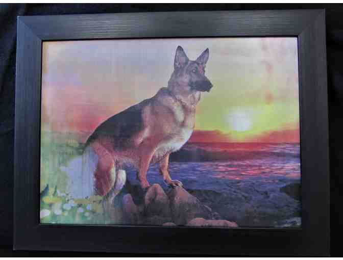 Framed Holographic German Shepherd Picture