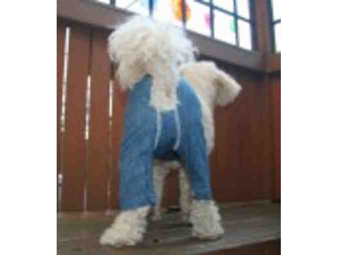 Mozzie Pants for your Dog