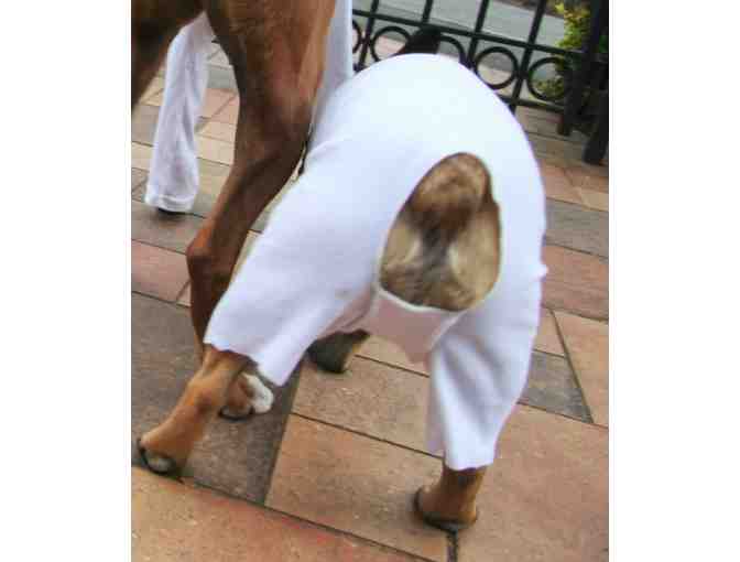 Mozzie Pants and Top for your Dog