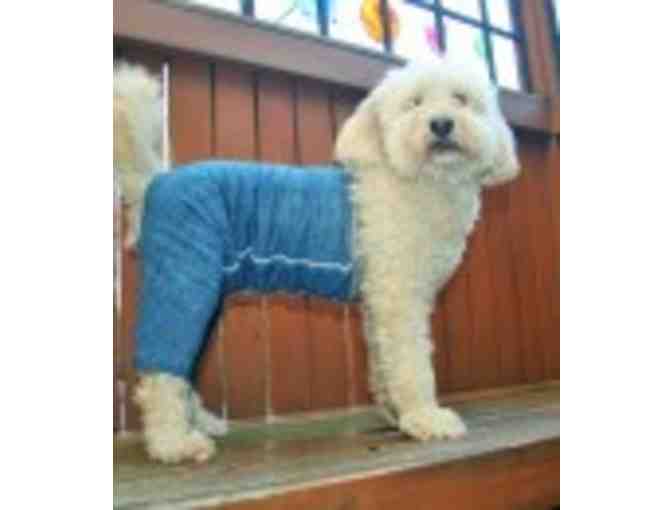 Mozzie Pants and Top for your Dog