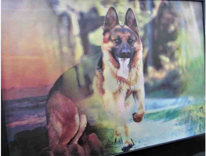 Framed Holographic German Shepherd Picture
