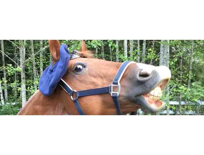 Unique Art - Painted by a Horse