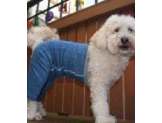 Mozzie Pants for your Dog