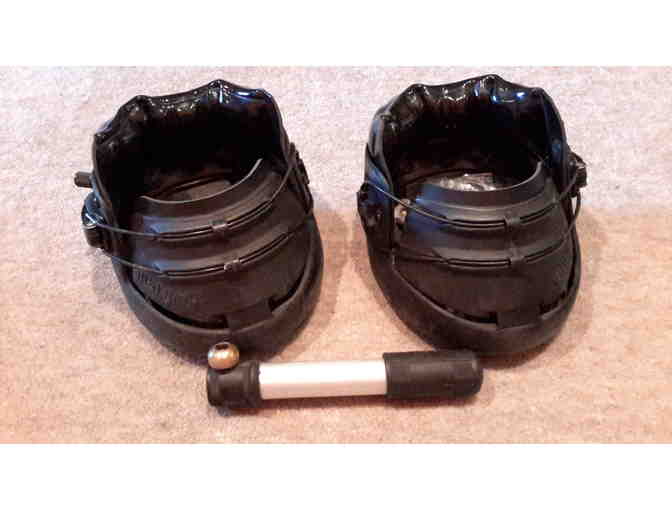 Equine This & That Package