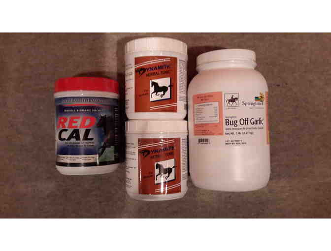 Equine This & That Package
