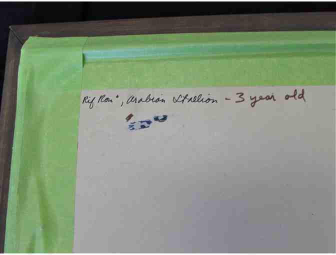 'Rif Ron,' Framed Arabian Painting