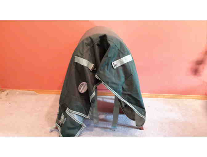 Whatever The Weather