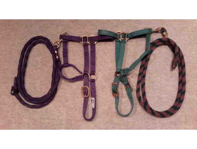 Equine This & That Package