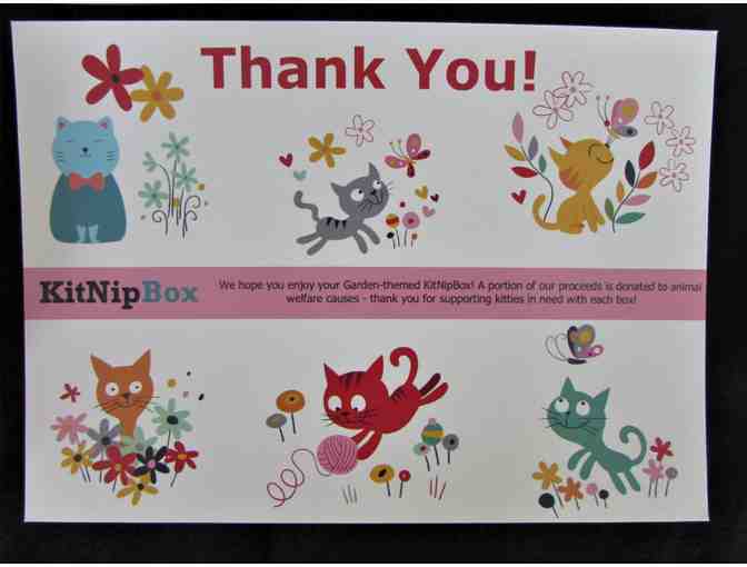 Kit Nip Box with Treats for your Cat
