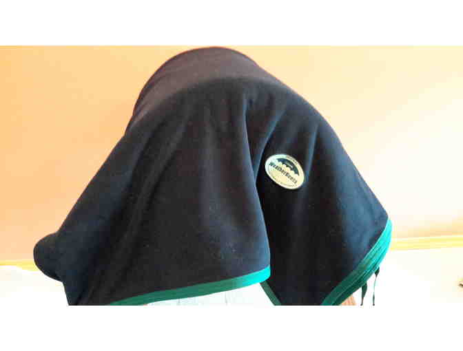 Whatever The Weather