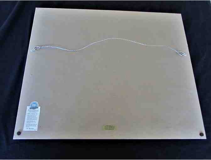 'Bobcat Kittens' Framed & Matted Photograph