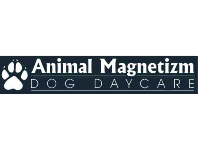 Let your dog be a dog at Animal Magnetizm!