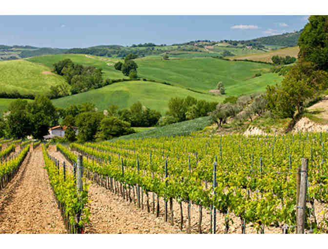 Wine It Up With 19 Friends!