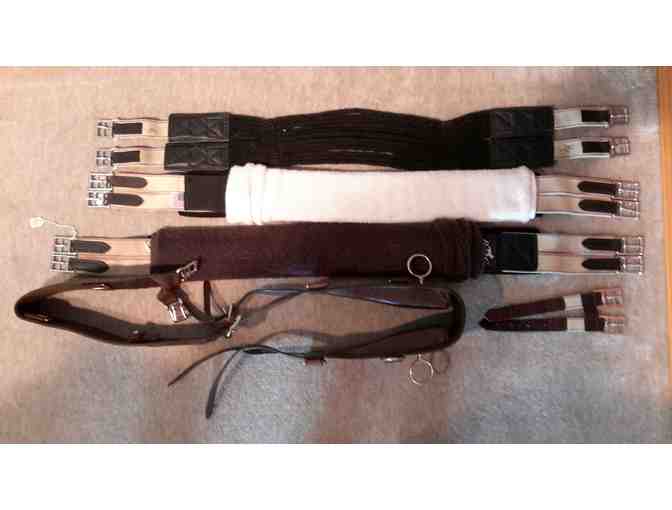 Bridles and Bits for your Favorite Horse
