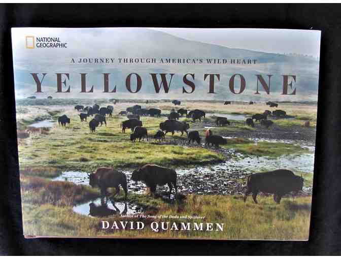 Brand New Books & More Books!