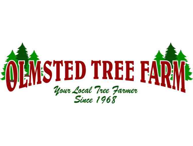 Have a Very Merry Christmas with One Christmas Tree and Wreath from Olmsted Tree Farms!