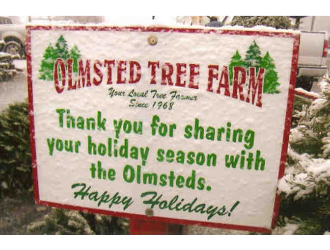 Have a Very Merry Christmas with One Christmas Tree and Wreath from Olmsted Tree Farms!
