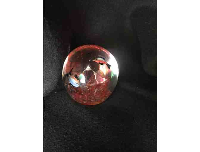 Under the Sea via Beautiful Glass!