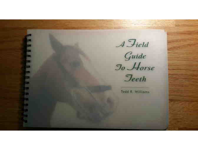 Equine Mouth And Teeth Evaluation Kit