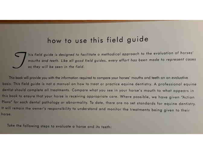 Equine Mouth And Teeth Evaluation Kit